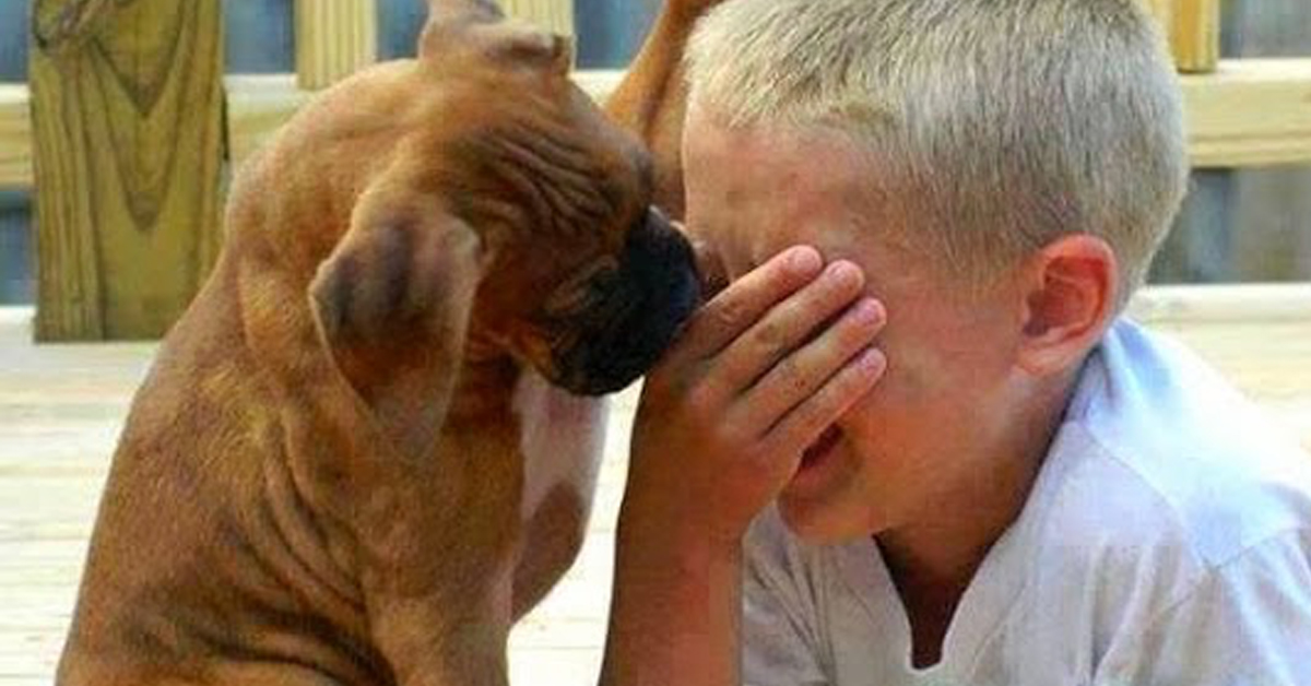 Why Are Dogs Lives Shorter Than Humans Lives? This Boy's Answer Brings
