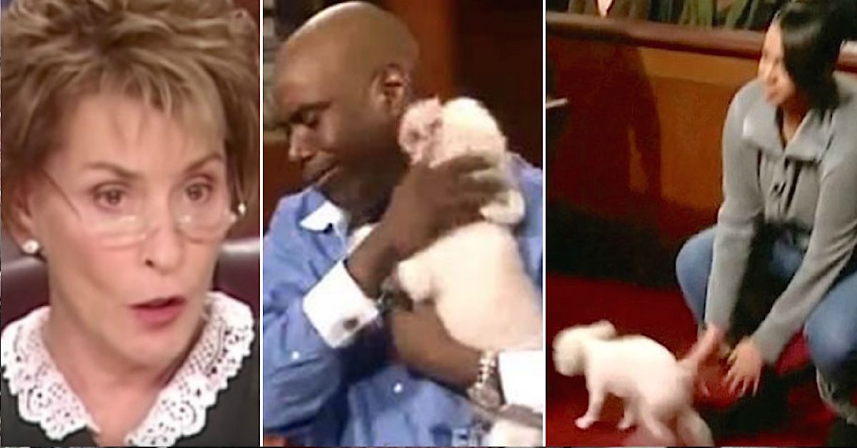 Judge Judy Lets Dog Run Loose In Courtroom To Help Identify His True