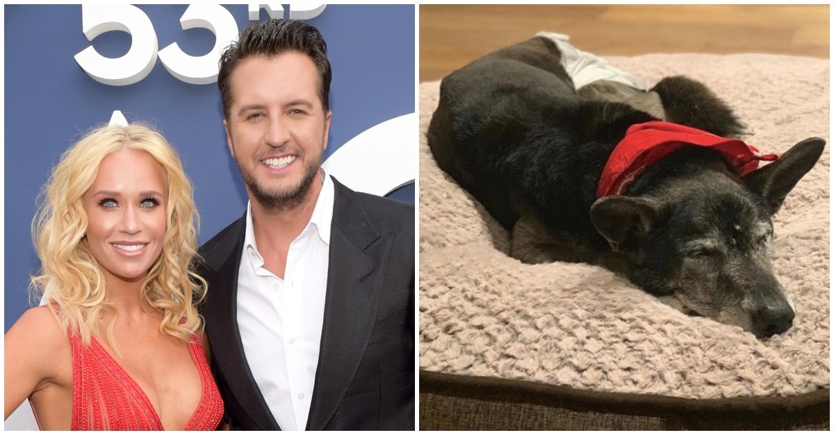 Luke Bryan Sees Senior Dog’s Sad Story Online, So Family Adopts Him at Age 18 Jesus Daily