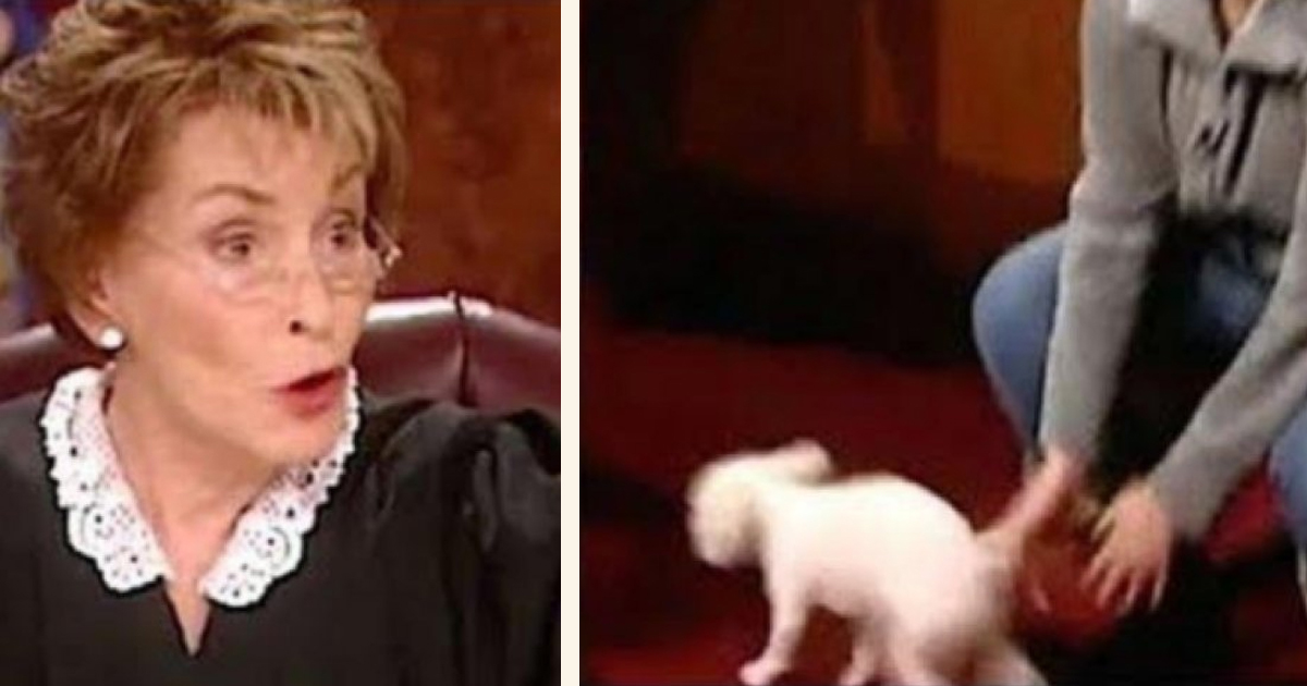 Judge Judy lets dog loose in court to choose its real owner in viral