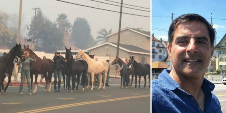 300-Horse-Rescuer