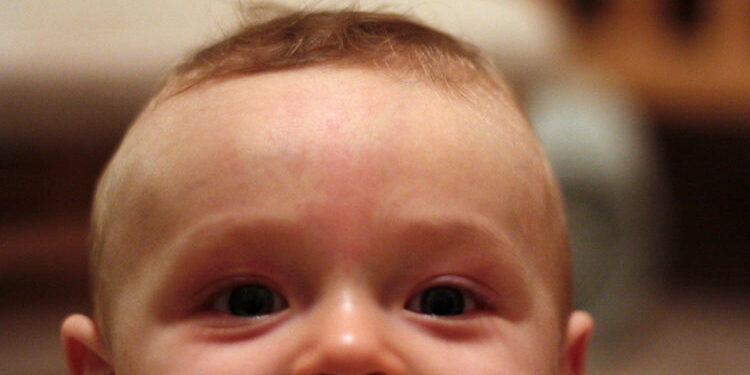 6960996369_9803a5bf39_b_baby-head-750x500