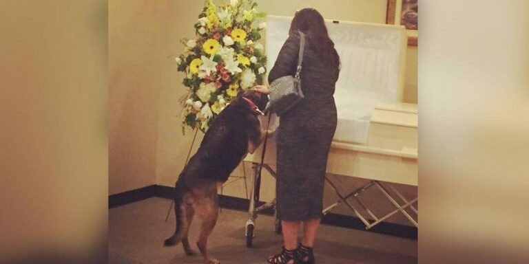 Dog-Funeral