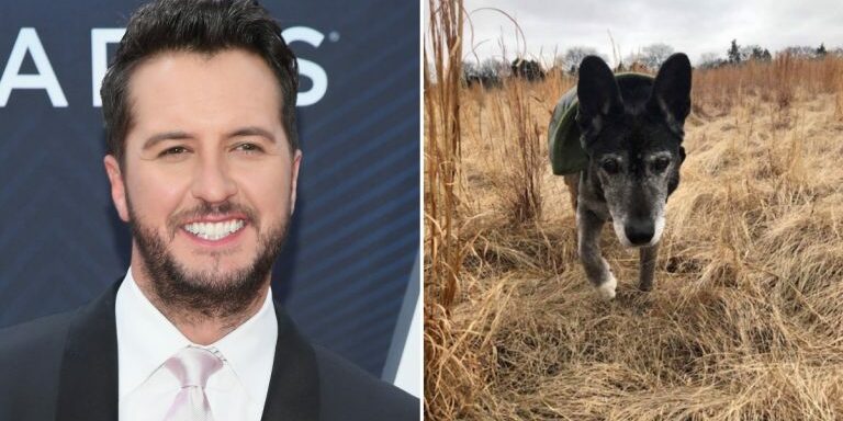 Luke-Bryan-New-Dog