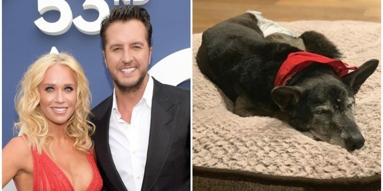 Luke-Bryan-Senior-Rescue-Dog-Dies
