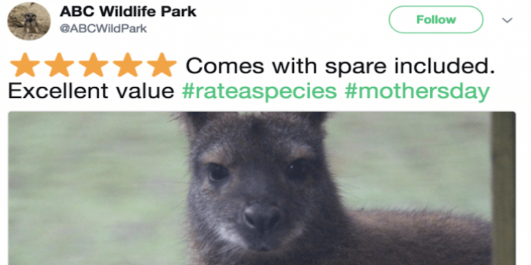 Screen Shot 2018-03-29 at 10.05.54 AM