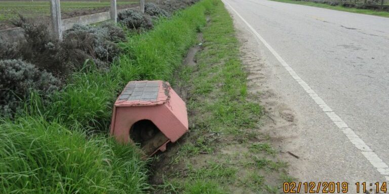 Side-of-Road-Dog-House