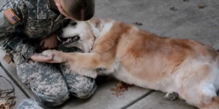 Soldier-Reunites-with-Elderly-Dog