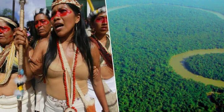 amazon-tribe-1-1-720x400