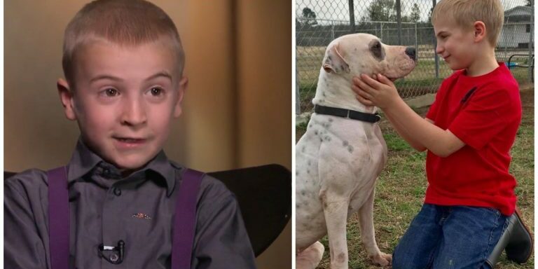aspca-award