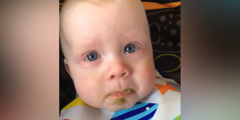 baby_tears