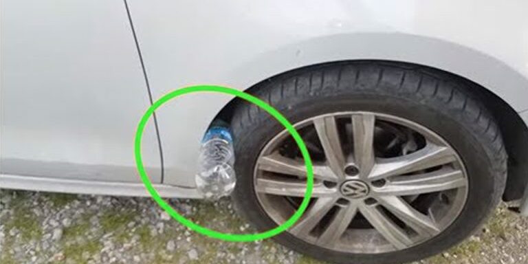 carbottle2
