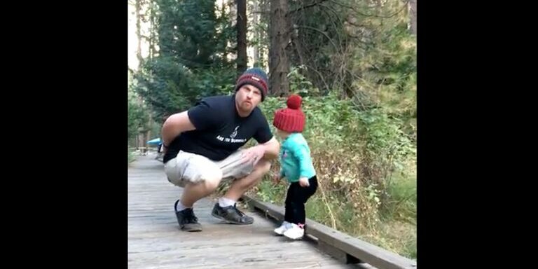 dadsave