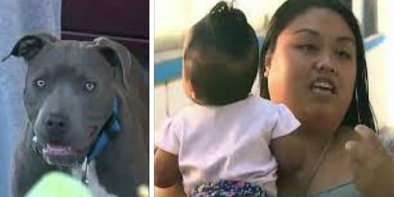 dog_baby78