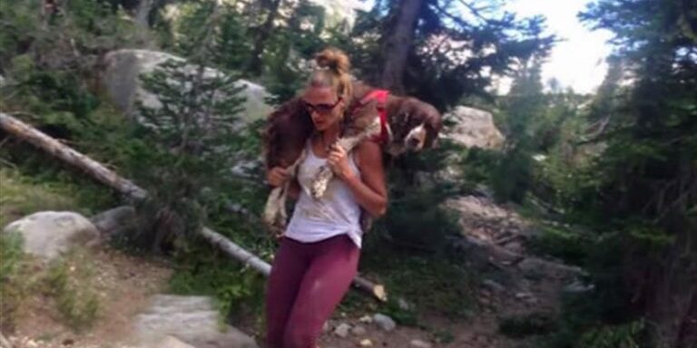 dogcarry