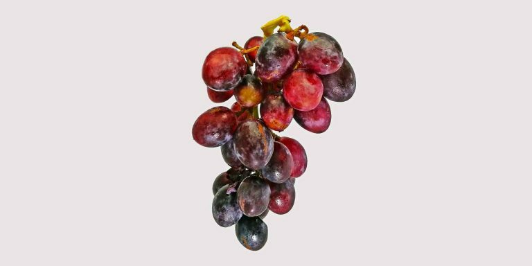 grapes-928651786