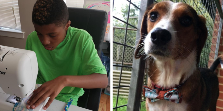 handmade-bow-ties-pet-adoption-promotion-darius-brown-fb10