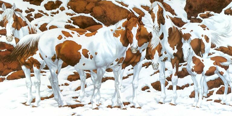 horses344