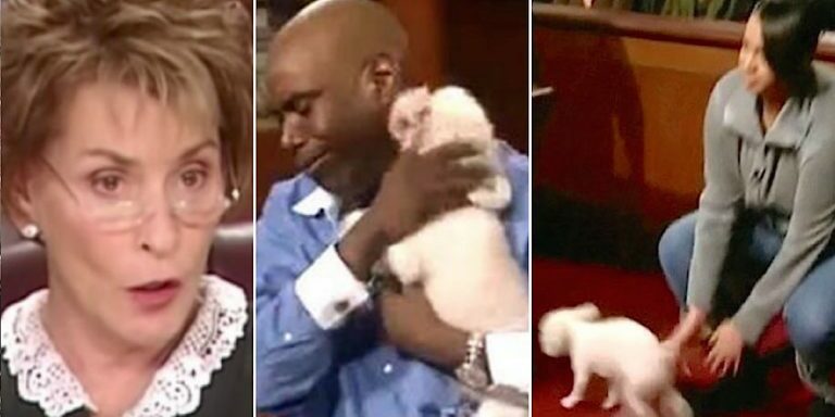 judgejudy