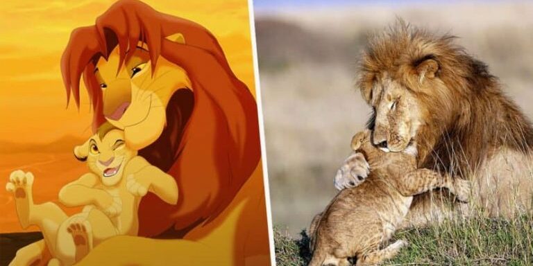 lion-kind-1
