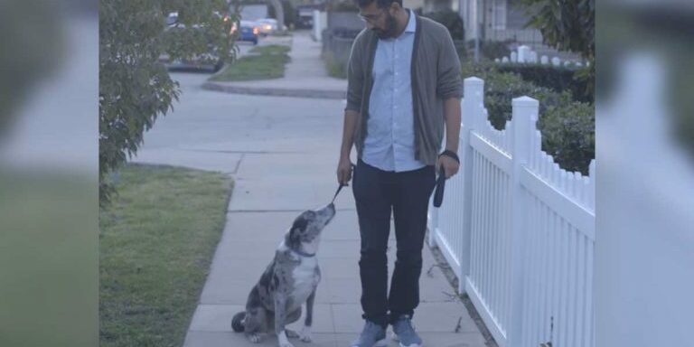 man_adopts_senior_dog_featured