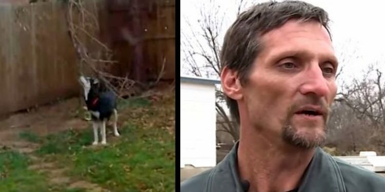 mans-dog-six-years-later-750x393
