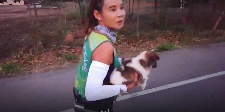 marathonpuppy