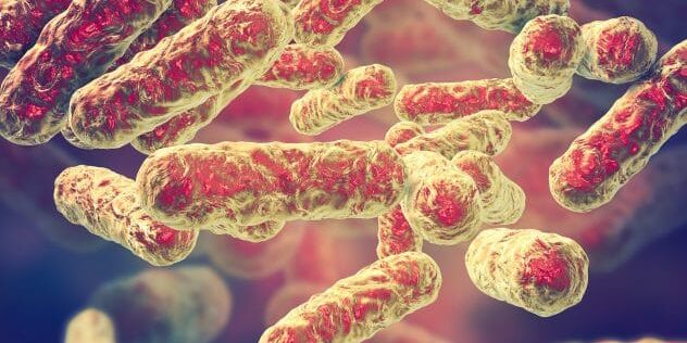 medical-infection-bartonella-henselae-infection-large-bigstock-632x474