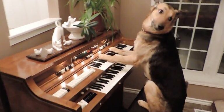piano23