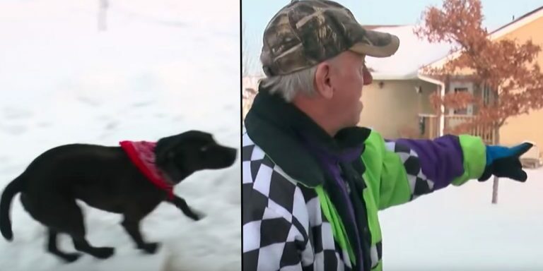 polarvortex