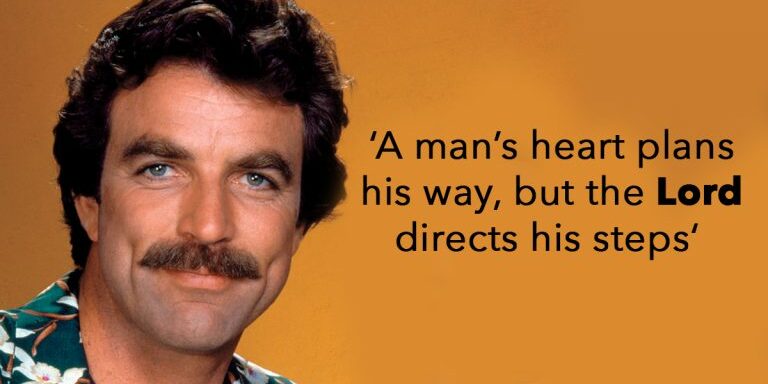 selleck3