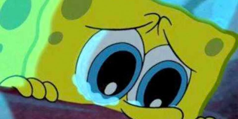 sponge3