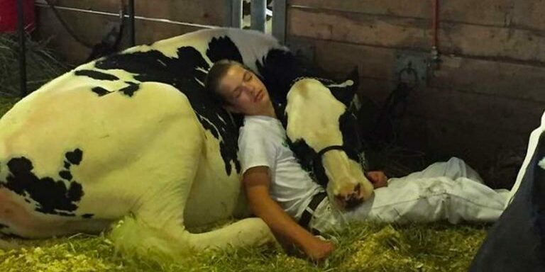 teen_nap_cow_milliions_featured
