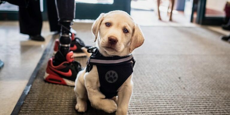 tiny-sit